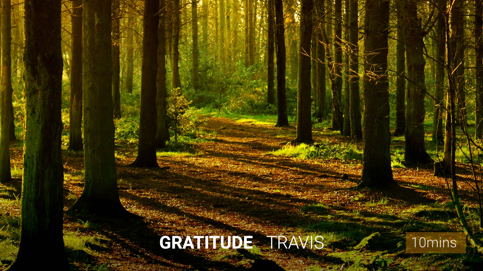 .<b>Gratitude</b> Meditation.