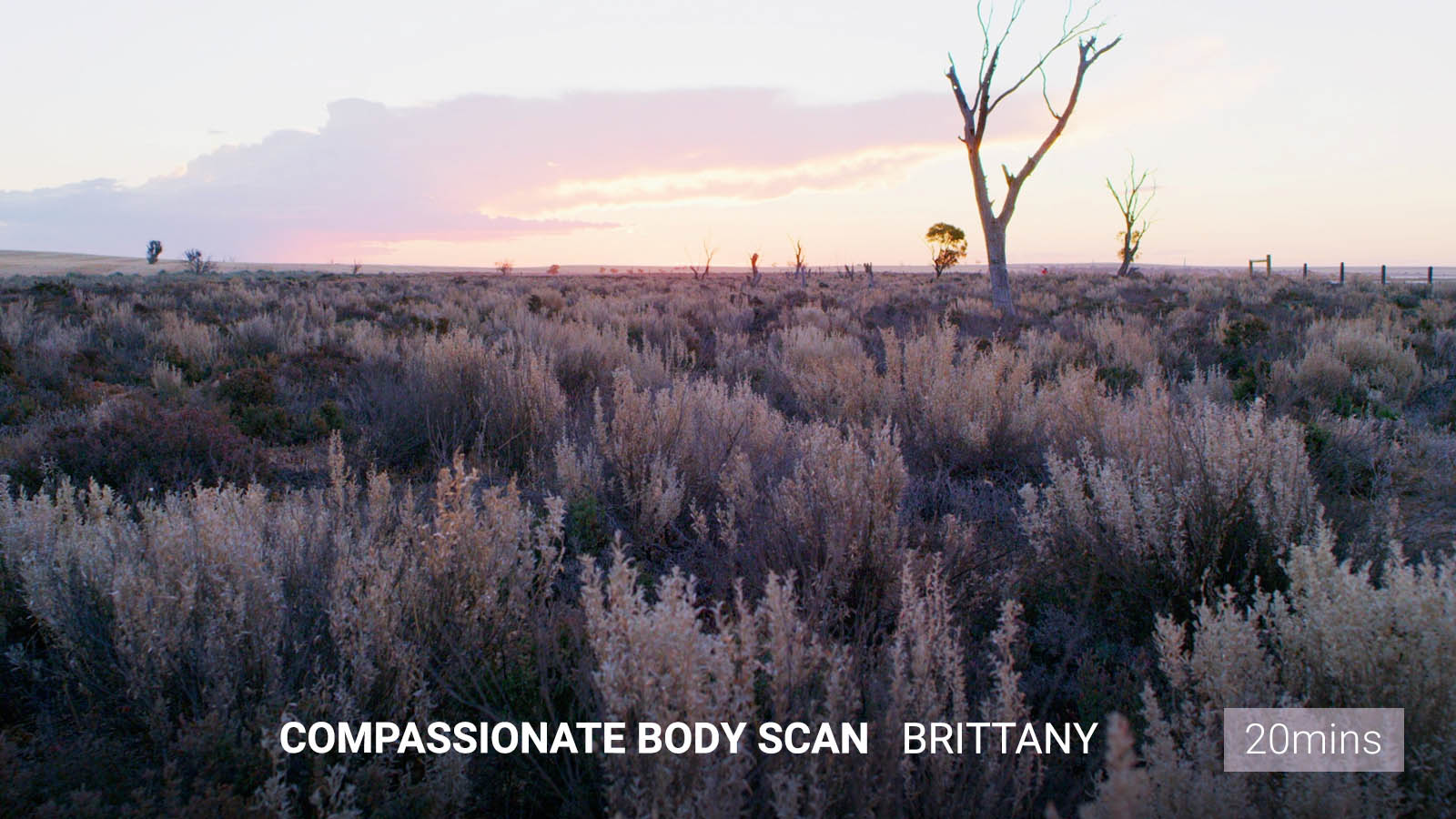.<b>Compassionate</b> Body Scan.