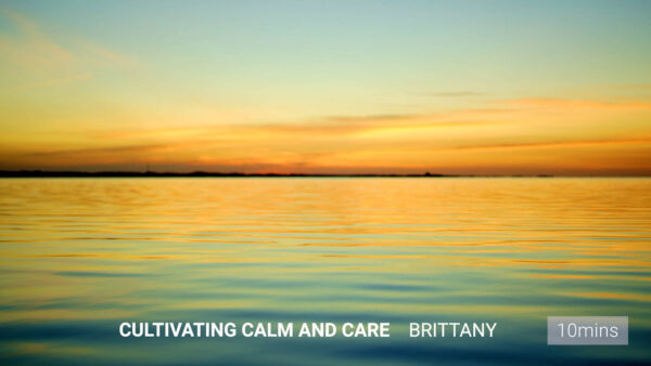 Cultivating Calm and Care