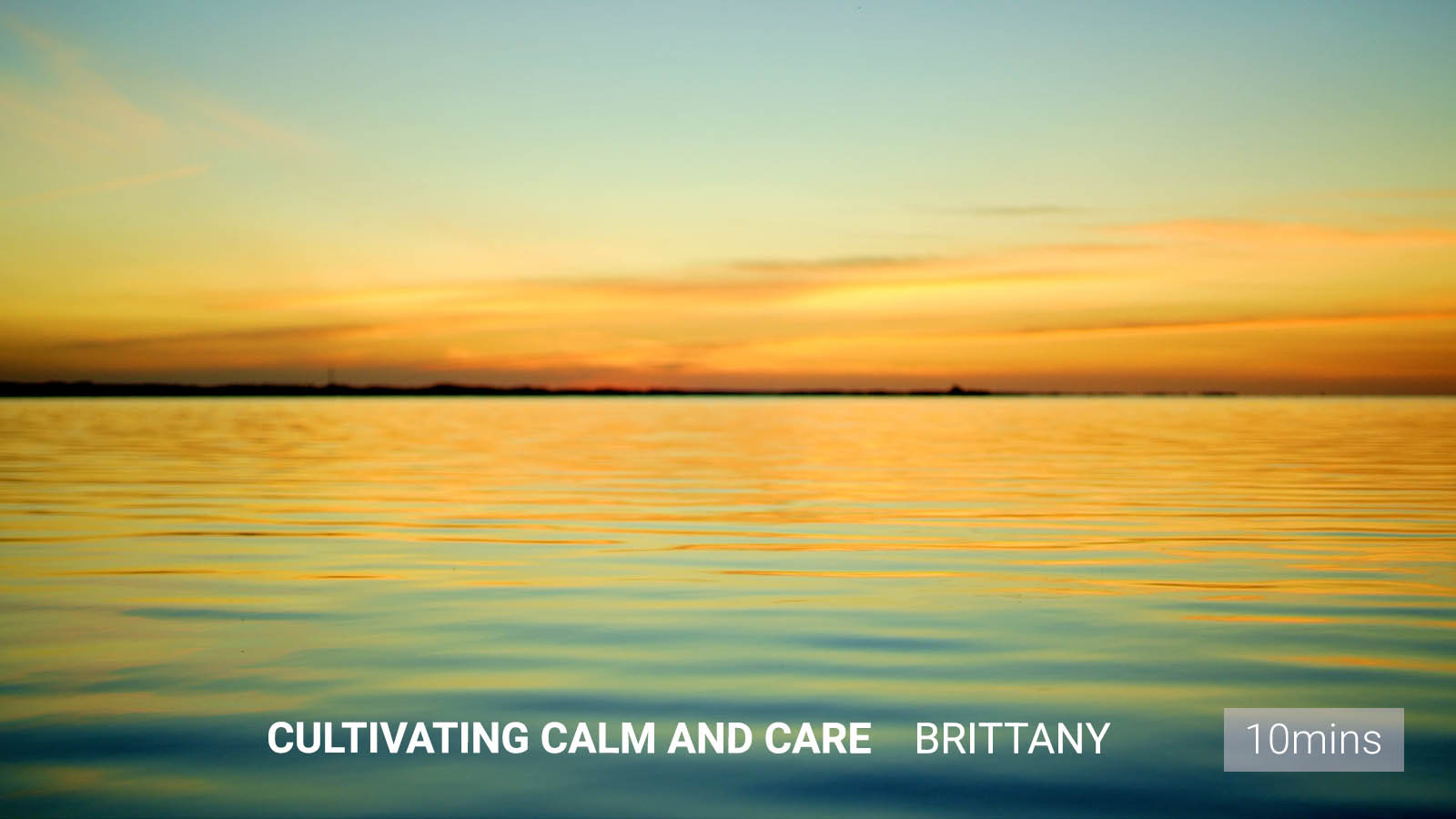 .Cultivating <b>Calm and Care</b>.