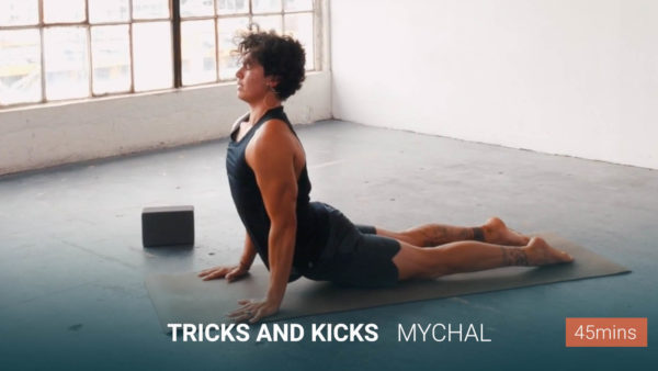 Tricks and Kicks Power Yoga