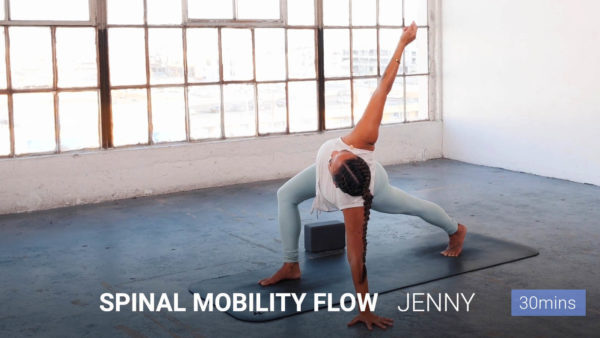 Spinal Mobility Flow