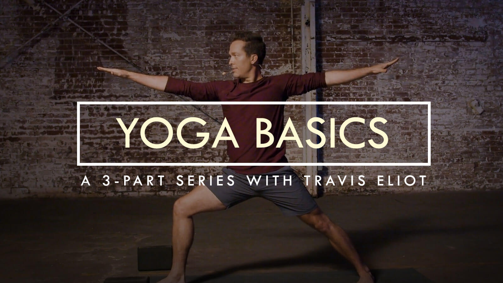 Yoga Basics Travis Eliot
