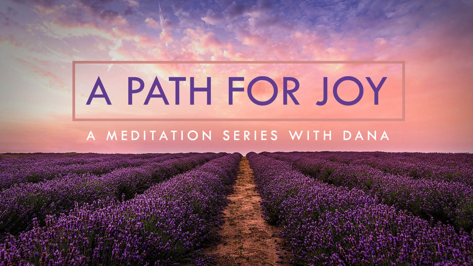 A Path to Joy Meditation Series