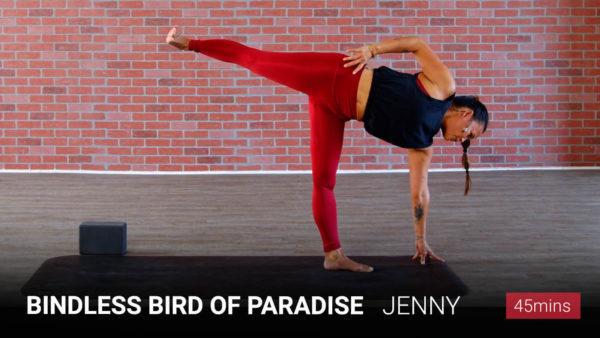 Bindless Bird of Paradise Power Yoga Inner Dimension TV