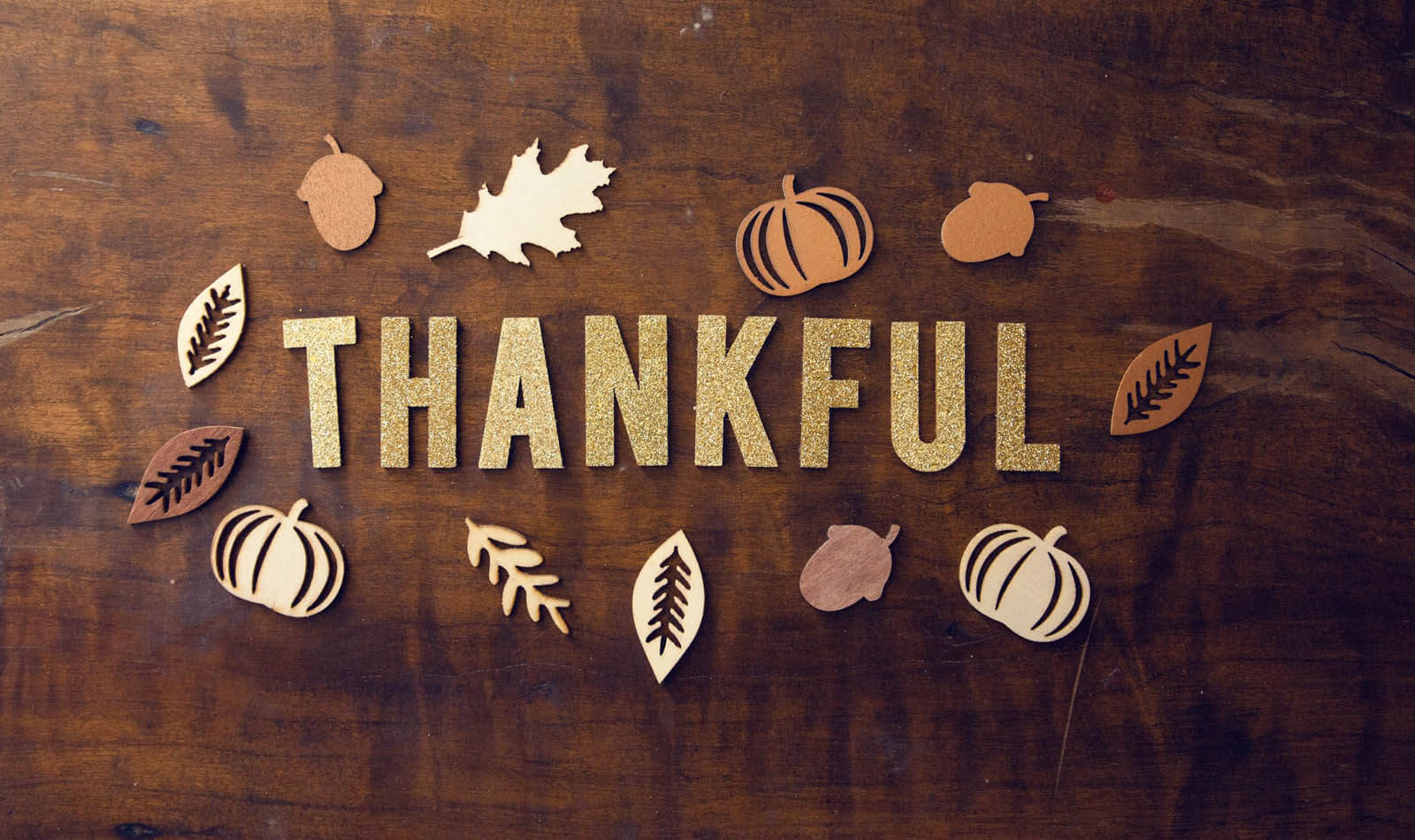 Celebrating the Season of Gratitude