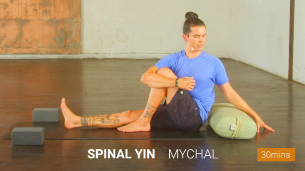 Spinal Yin