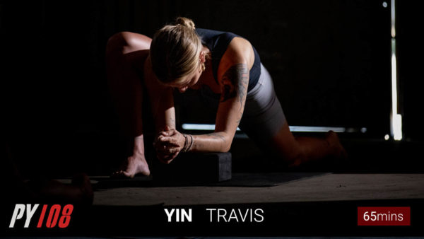 Yin Yoga 108 with Travis Eliot