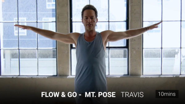 Flow & GOMt. Pose