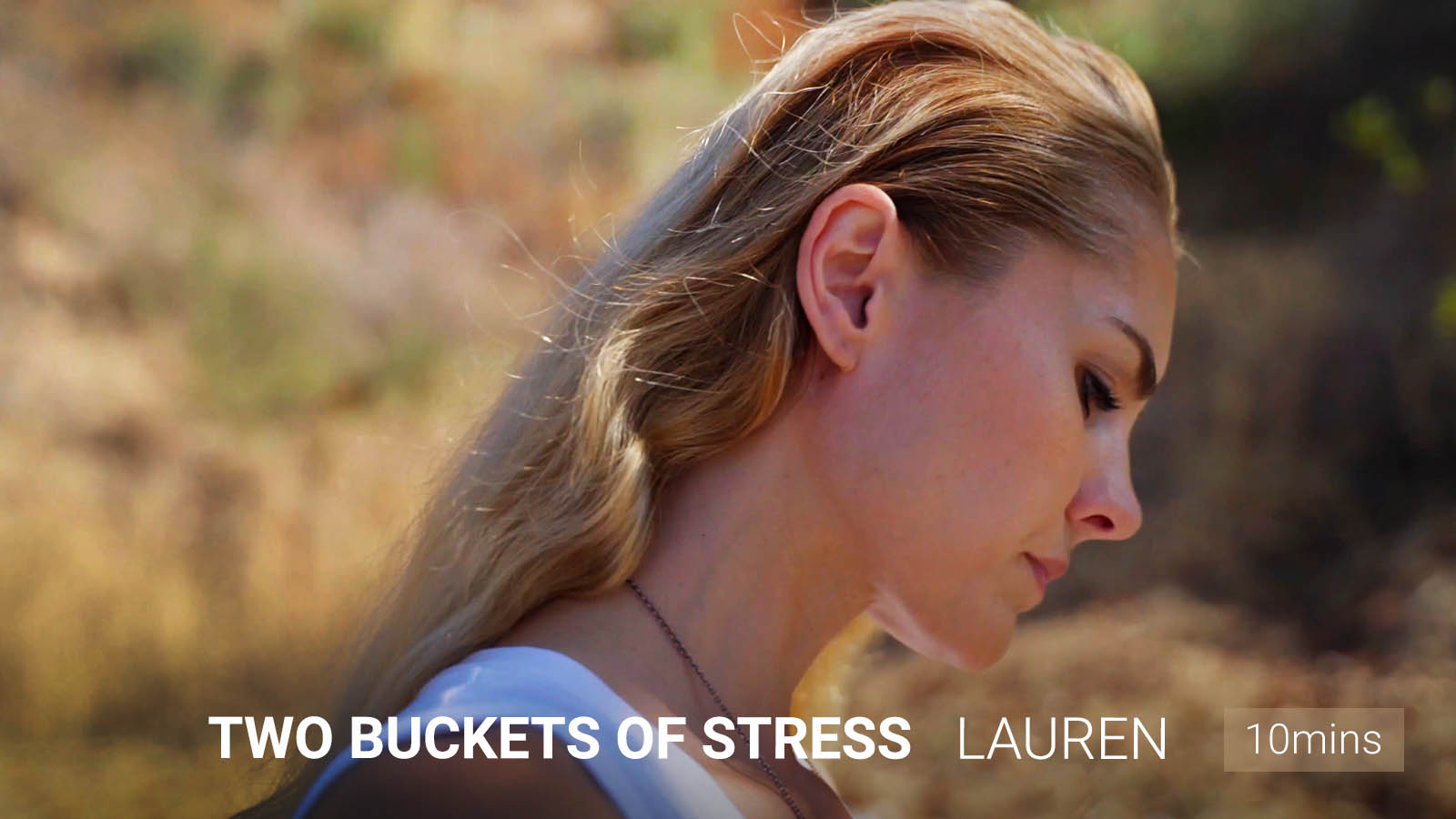 .The Two Buckets <br/>of Stress.