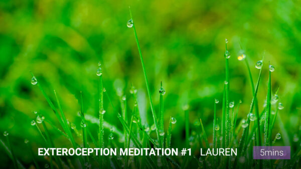 Exteroception Meditation #1