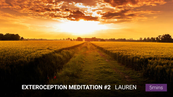 Exteroception Meditation #2