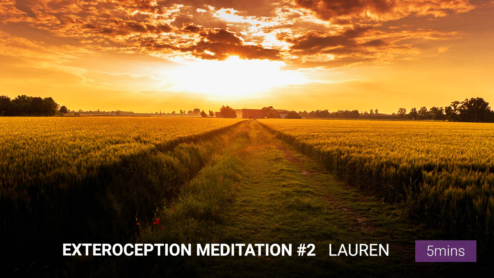 .<b>Exteroception</b><br/> Meditation #2.