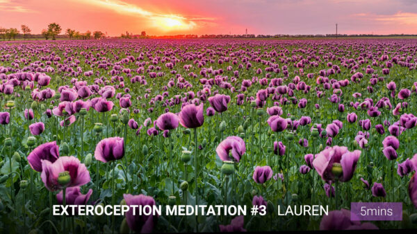 Exteroception Meditation #3