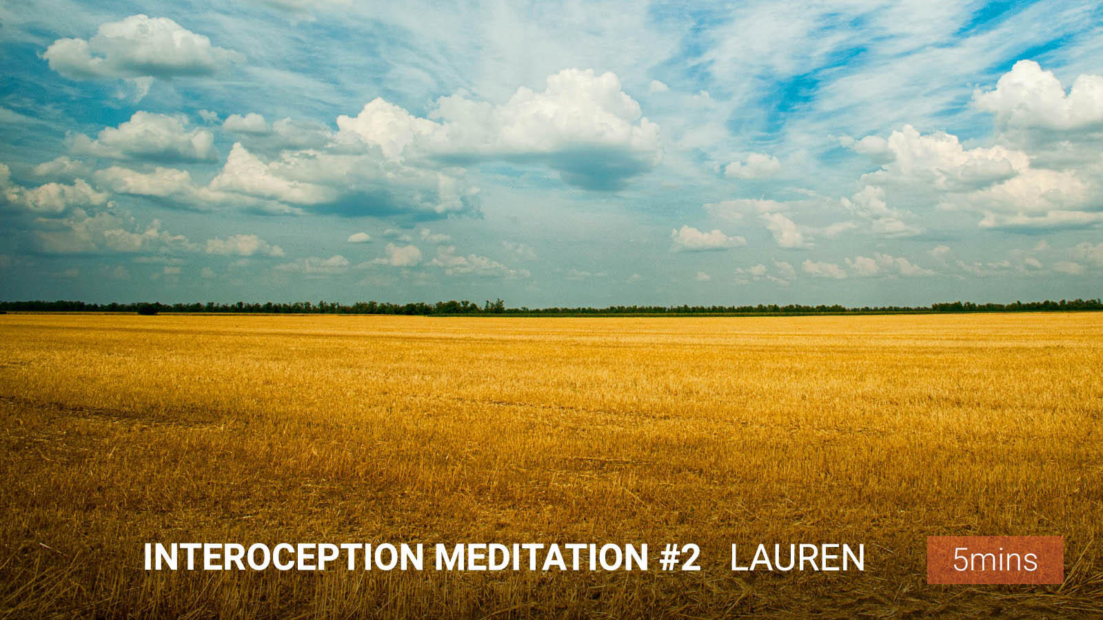 .<b>Interoception</b> <br/>Meditation #2.