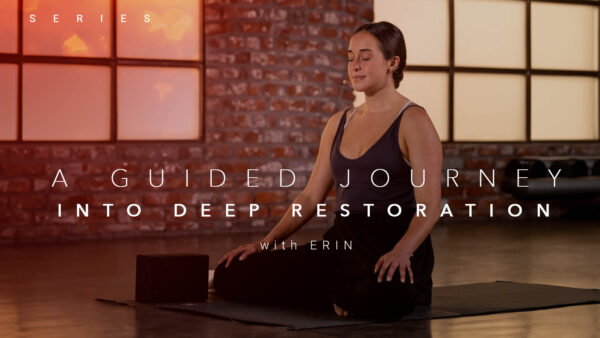 A Guided Journey into Deep Restoration