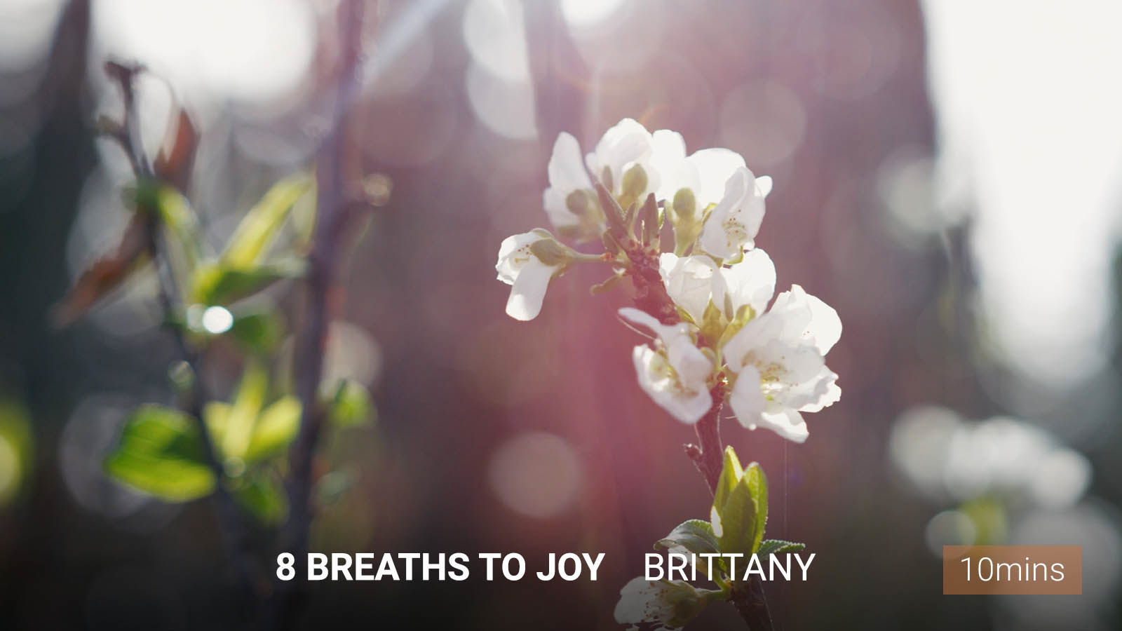 .<b>8 Breaths</b> to Joy.