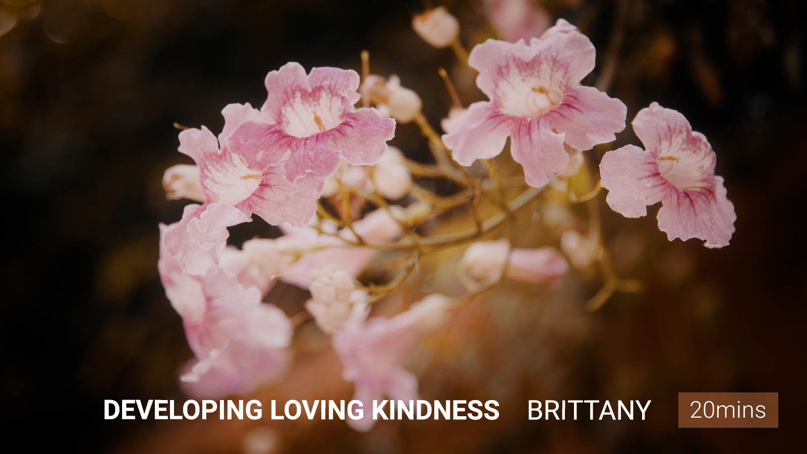 .Developing <b>Loving Kindness</b>.