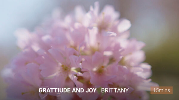 Meditation on Gratitude and Joy