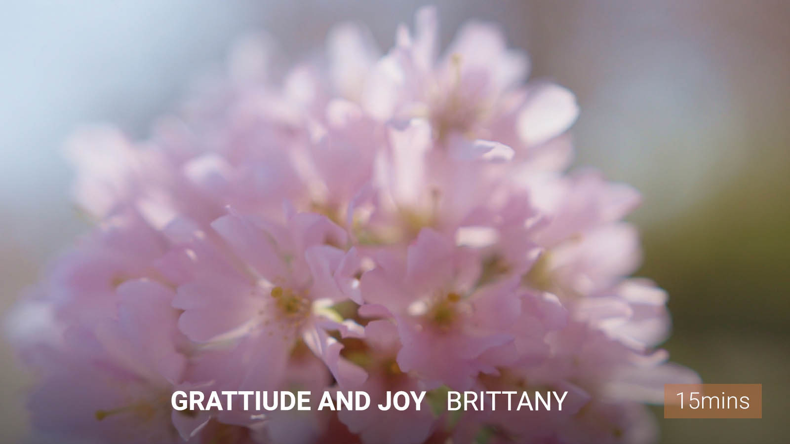 .<b>Meditation</b> on Gratitude and Joy.