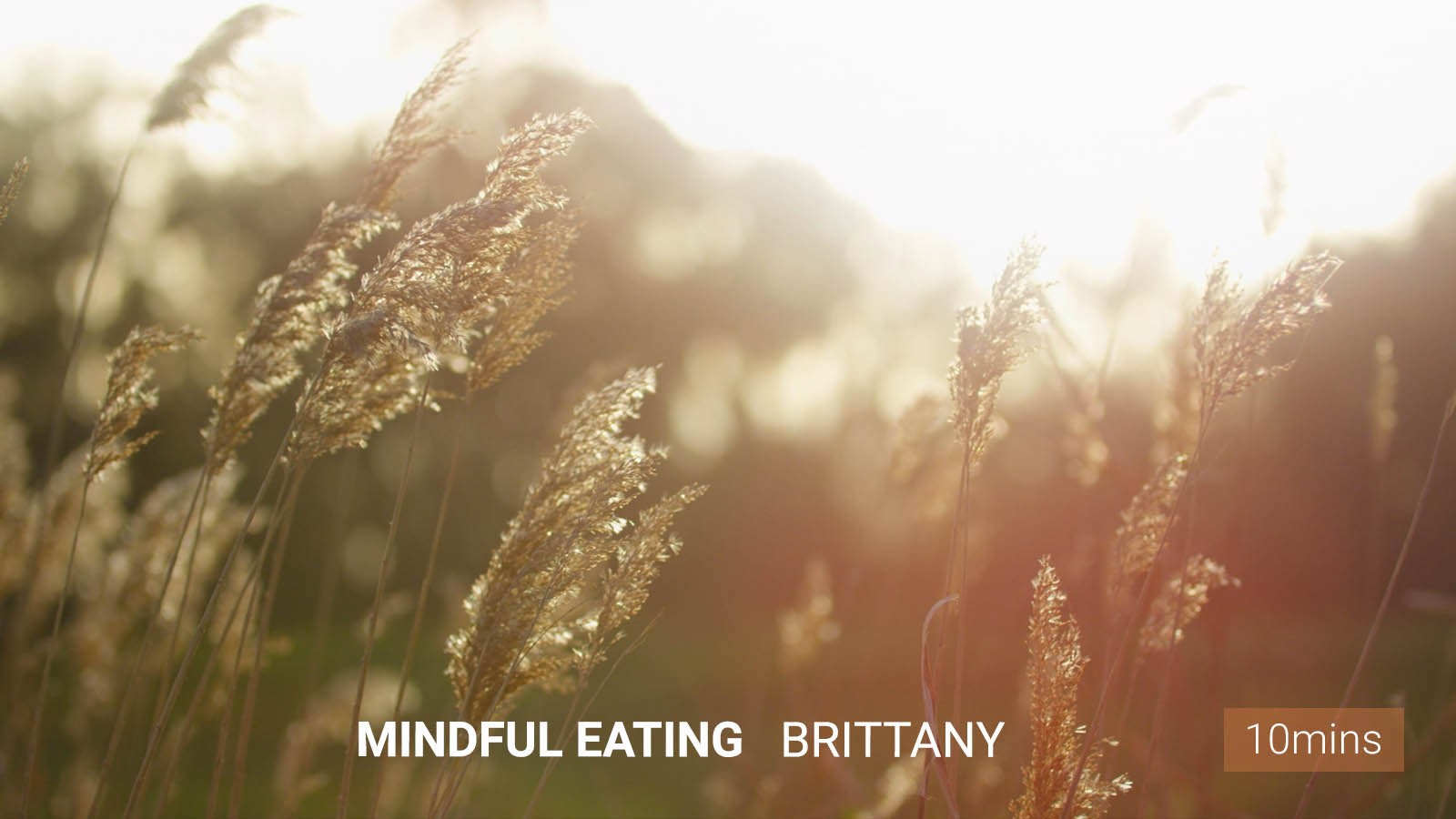 .<b>Mindful</b> Eating Meditation.