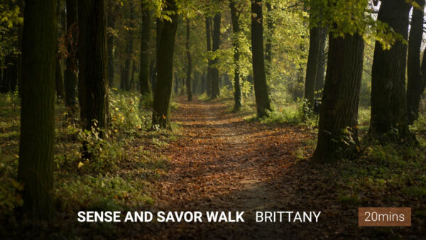 Sense and Savor Walk