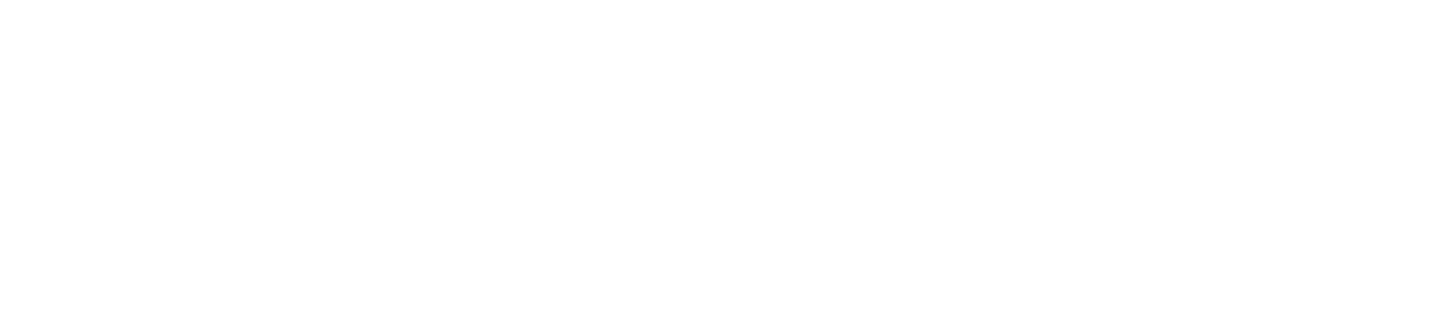 Logo for the program Flow and Stretch
