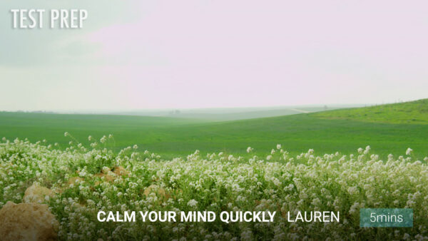 Calm Your Mind Quickly