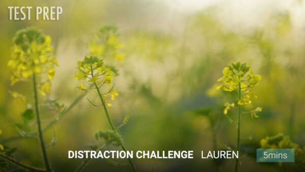 Distraction Challenge