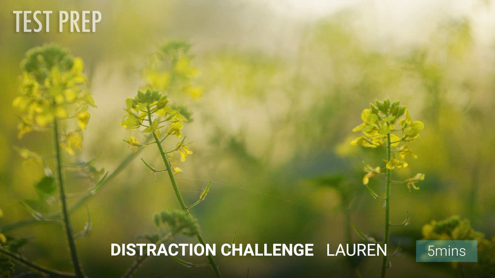 .Distraction Challenge.