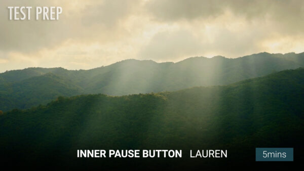 Inner Pause Button