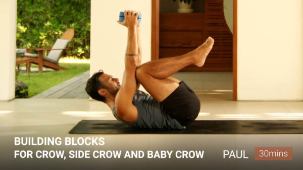Building Blocks For Crow Side Crow And Baby Crow