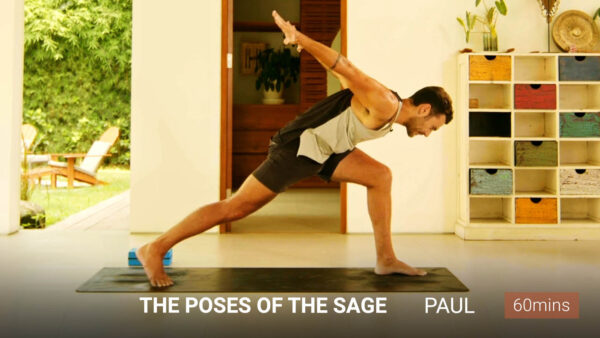 The Poses Of The Sage